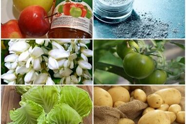 العلاجات الشعبية لعلاج الدوالي